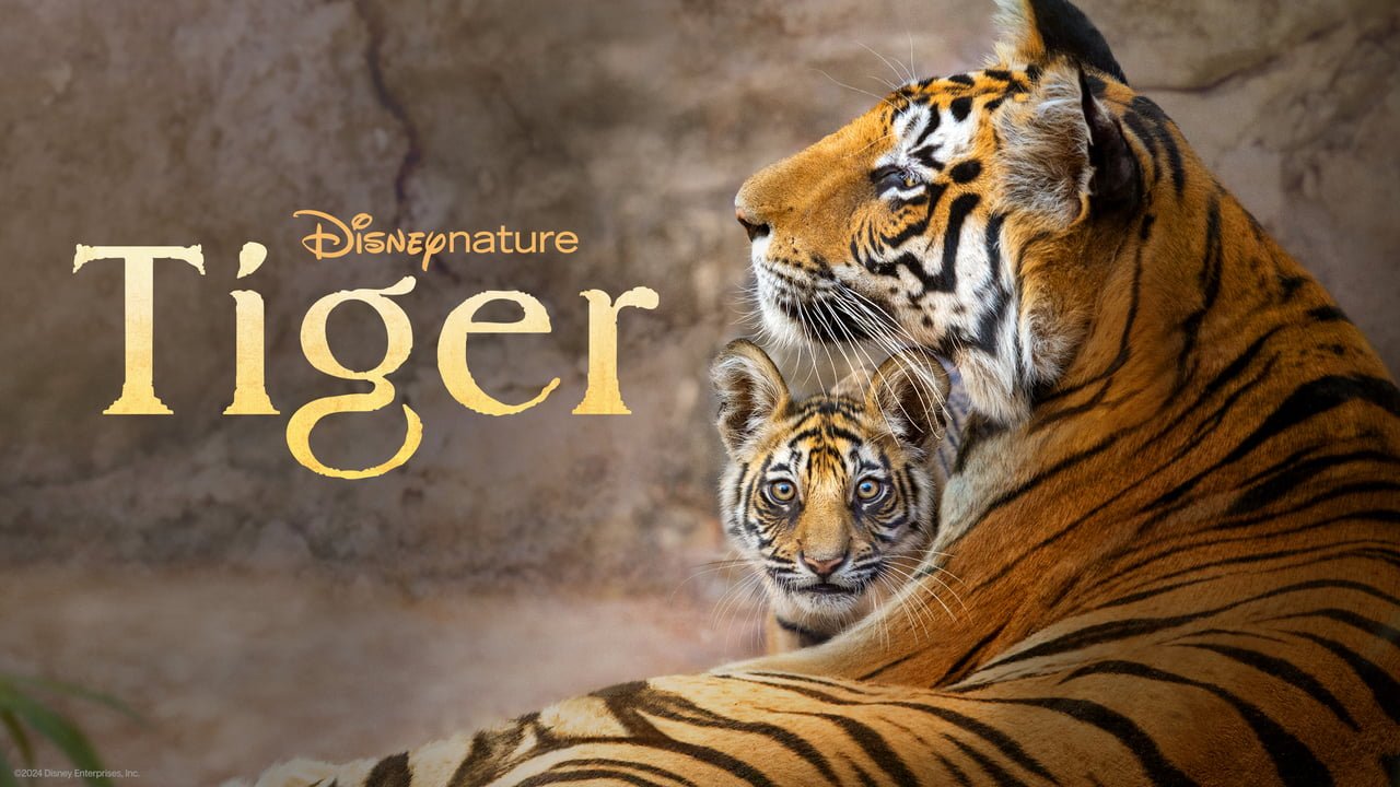 Tiger-(2024)