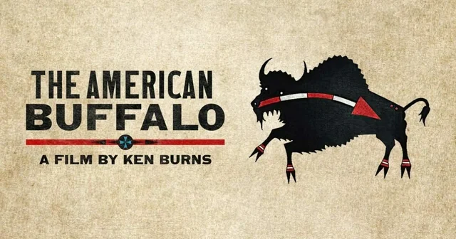 American-Buffalo