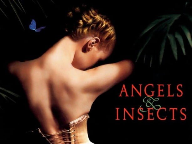 Angels-&-Insects