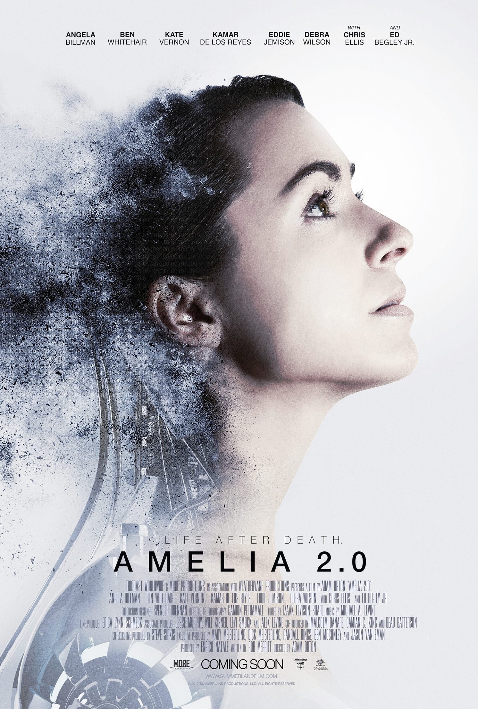 AMELIA-2.0