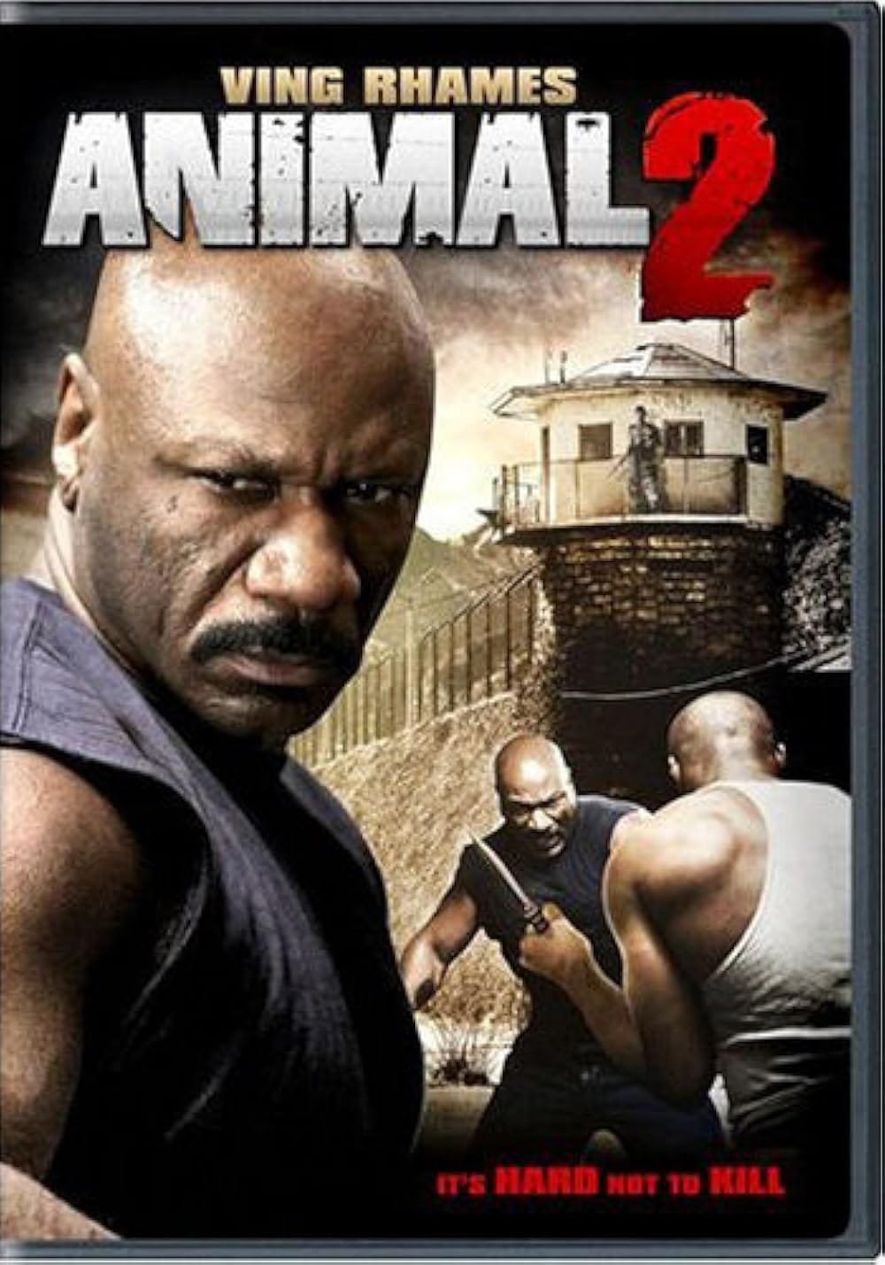 Animal-2