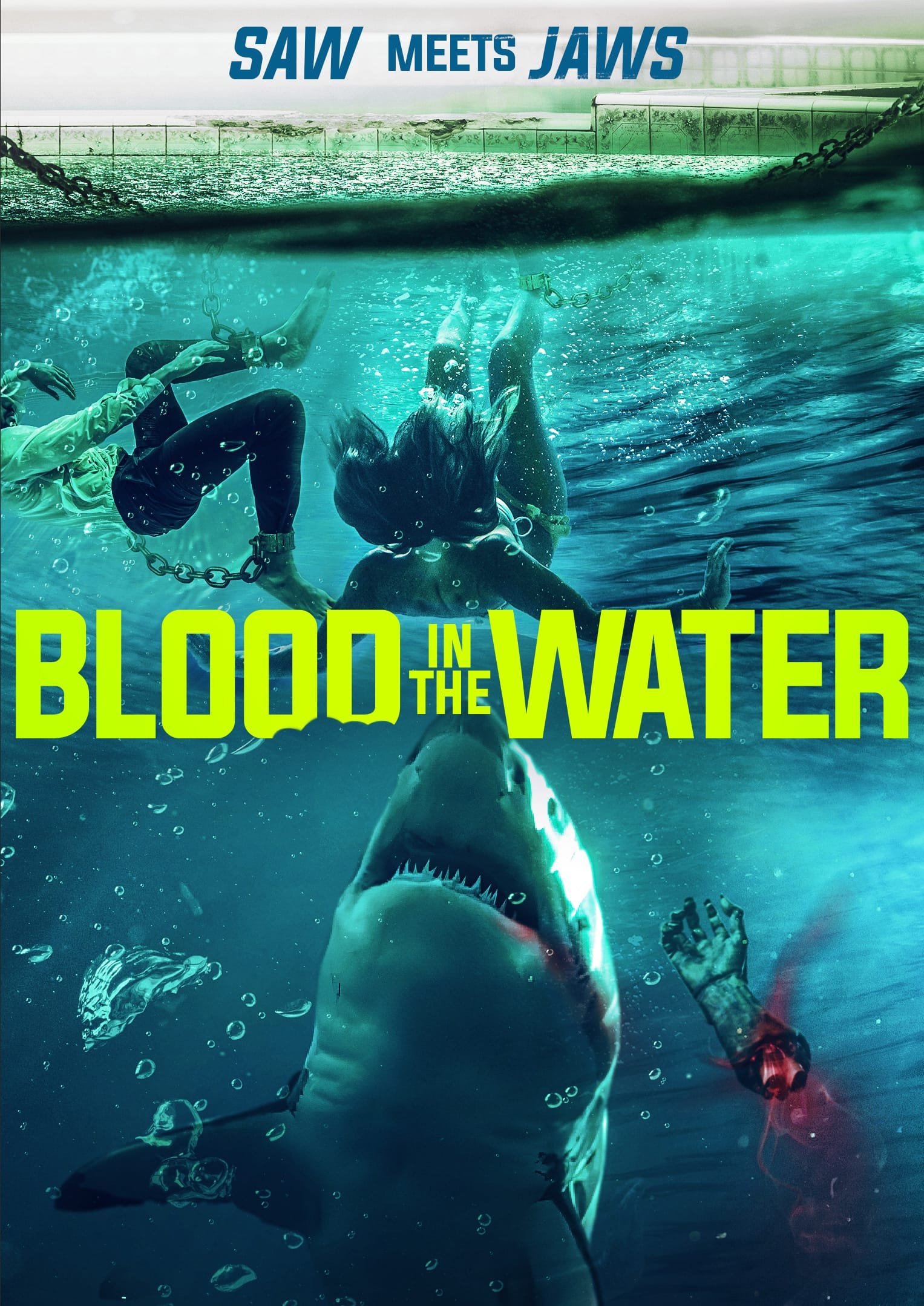 BLOOD-IN-THE-WATER