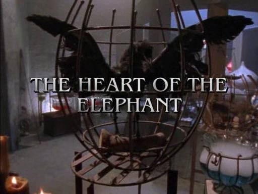 HEART OF ELEPHANT