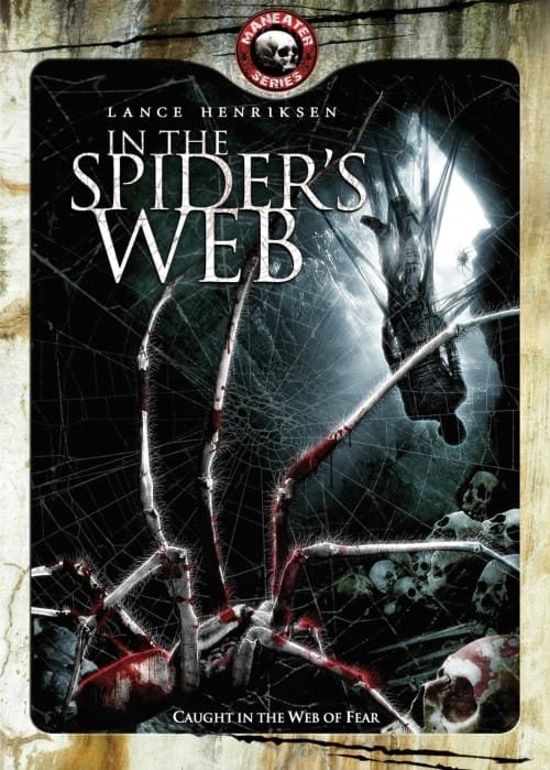 In-The-Spider's-Web