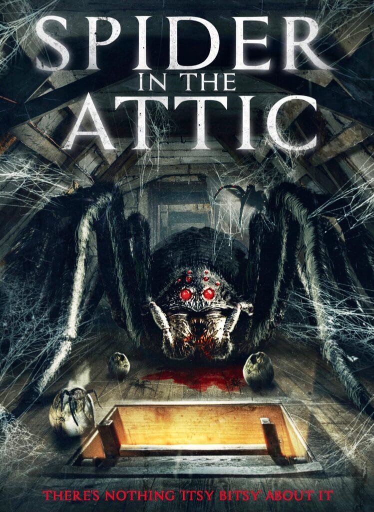 SPIDER IN THE ATTIC