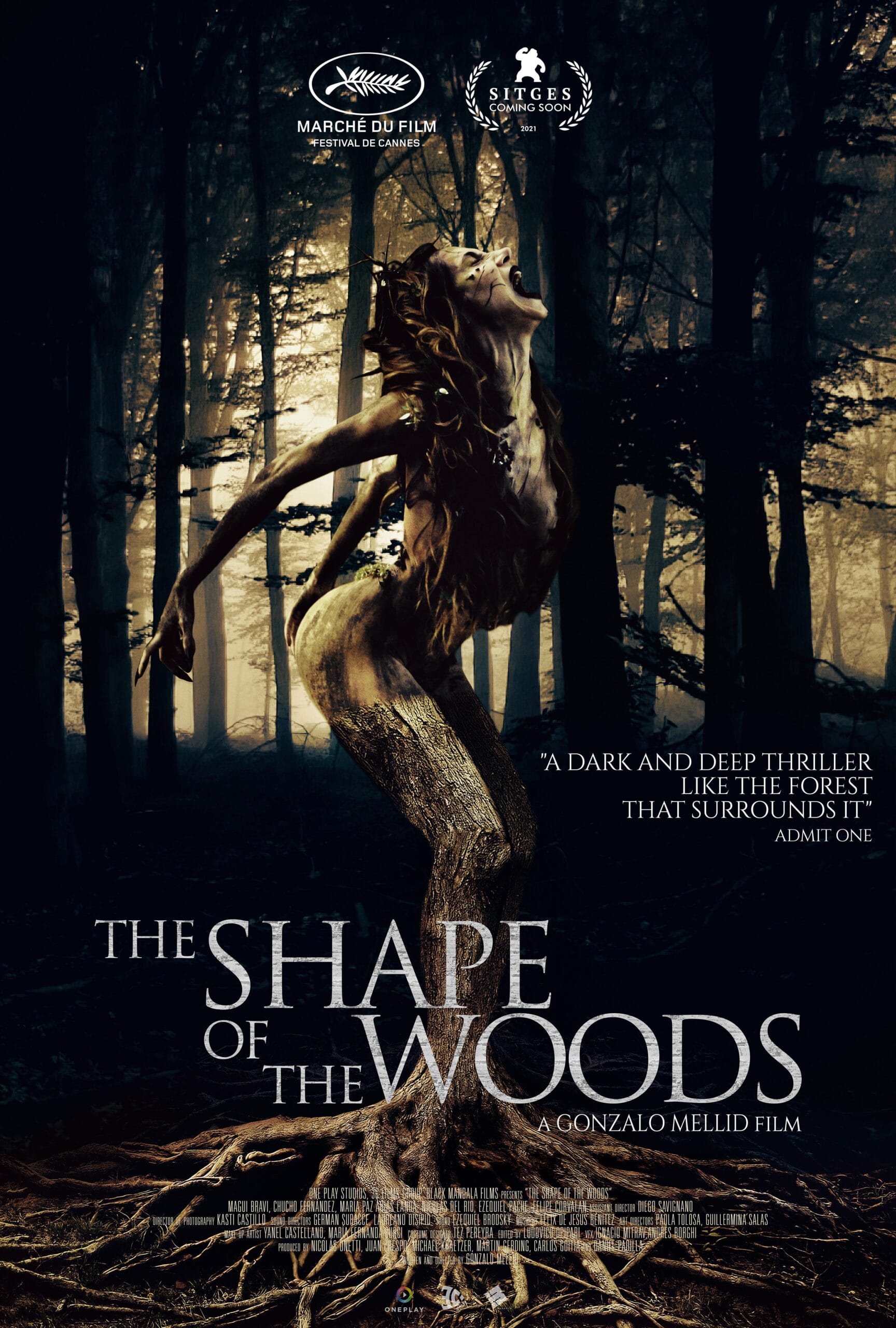 THE-SHAPE-OF-THE-WOODS